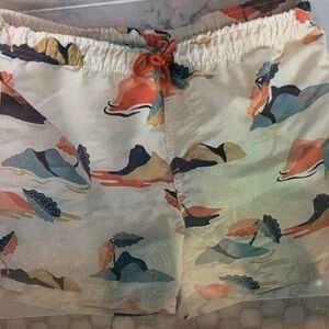 Colorful Kids Swim Trunks